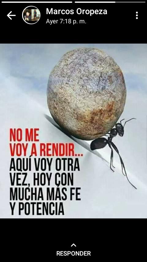 wmartinezls's tweet photo. Venezuela no se rinde...!!! https://t.co/9T2sVYgnyZ