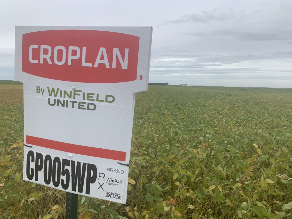 CP001WPRX and 005WPRX both WinPak everyone is going to want to try some! These beans are a great fit for any field. As me about what a WinPak is and why it is awesome! #croplan <a href="/MKagro/">MK Agro Ltd.</a>