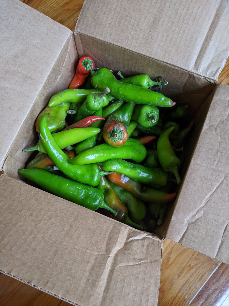 Adrian D. Garcia tweet media