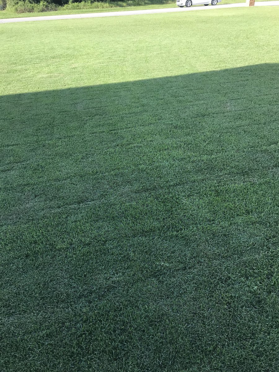 Tarheelwilliams's tweet photo. Dear students this is the sacred soil @FWBHSCoachRyan would have you desecrate. Freud would have a ball with his envy issues. #YardofTheYear https://t.co/8S4OPEoScu