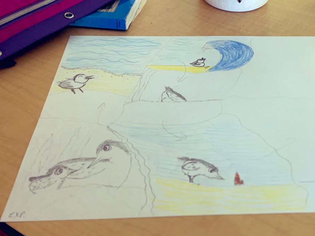 Is there anything more fun than making plot diagrams? I think not! Today we made plot diagrams for the Pixar short-Piper and analyzed the main Bird character. <a href="/NNMSWildcats/">NNMS</a>