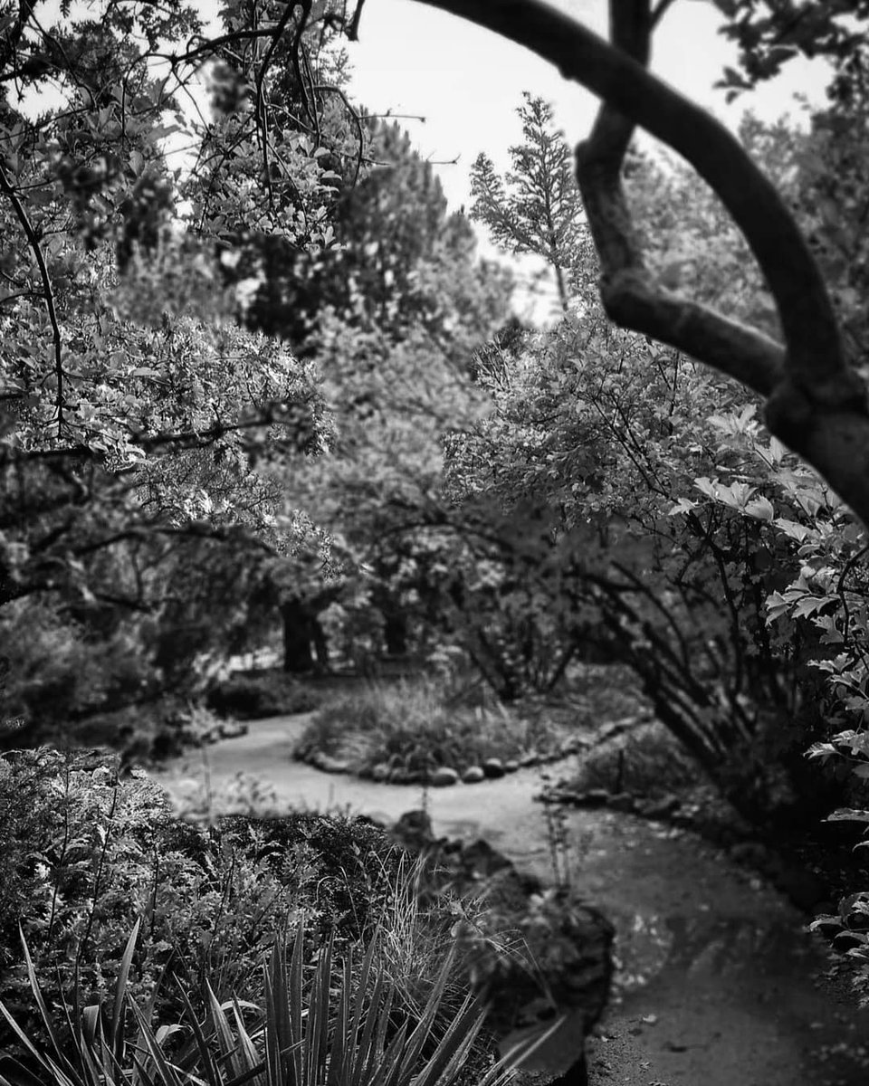 mementosmoriah's tweet photo. The woods are lovely, dark and deep, But I have promises to keep,   
And miles to go before I sleep...
🕸🍁🍂🌬🏞 https://t.co/cADLV2TVjQ
