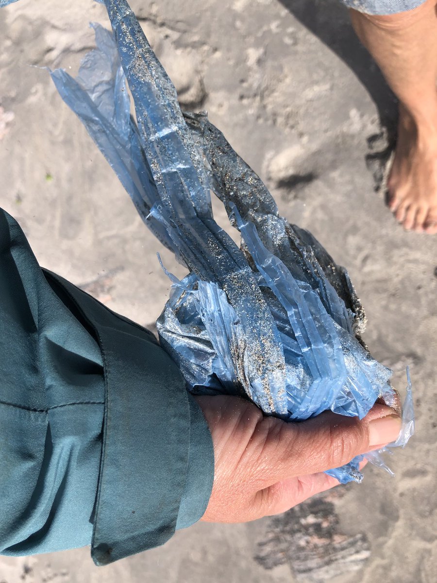 SuilanSpink's tweet photo. I #love #nature #colours at this time of year. #shame #replicated in #beach #rubbish . 6.3kg beach clean last week #SummitToSea #GenerationSea #SeasOurFuture @NicolaSturgeon @BillTurrell1 @GreenerScotland @sascampaigns @mcsuk @jules123O @lillyspickup @FinlayPringle @PlasticAtBay https://t.co/hfCTJHop21