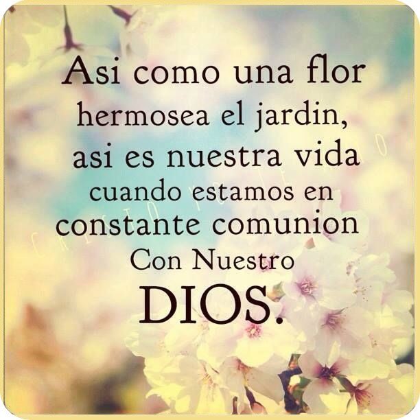 PauloCoelhoDice's tweet photo. https://t.co/jWJMBVpFsX