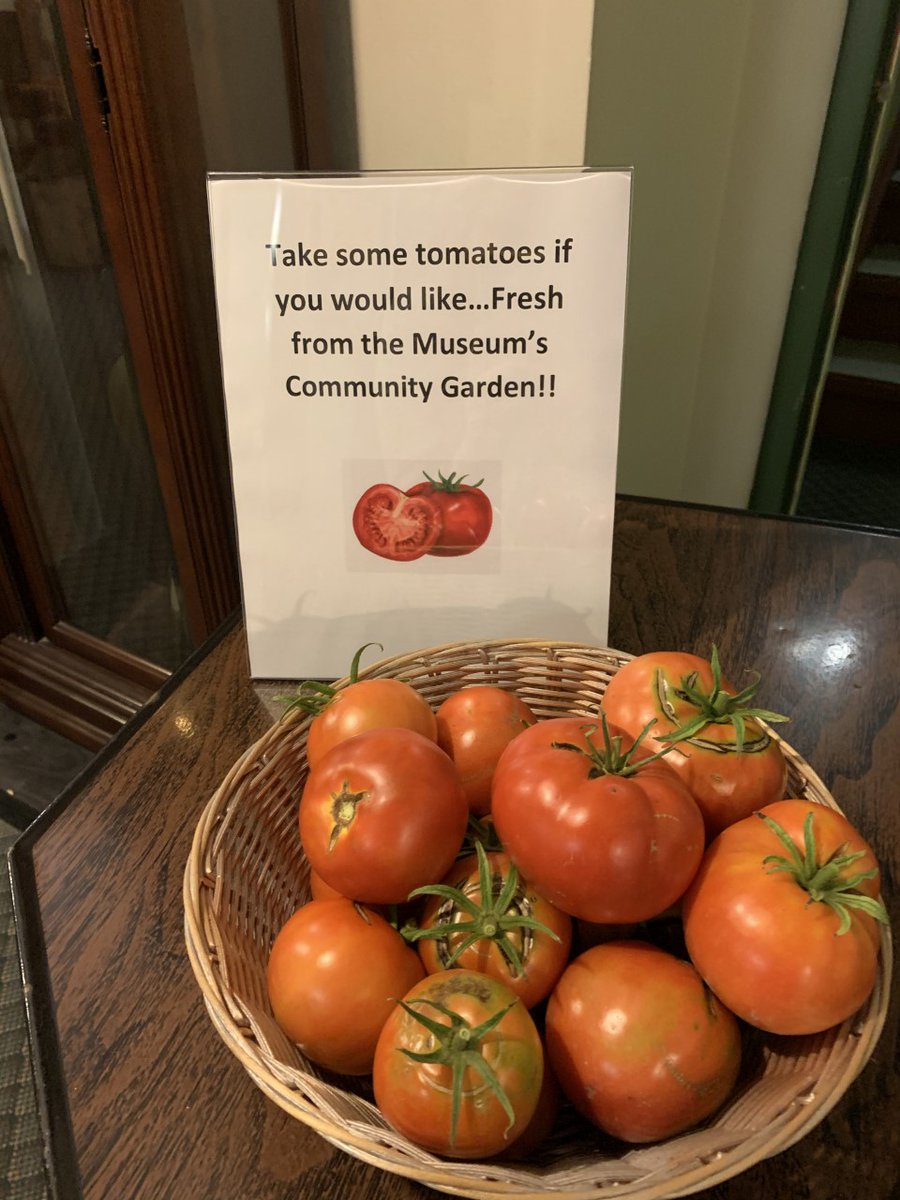 ChamplainMuseum's tweet photo. Come to the Champlain Trail Museum and Pioneer Village tomorrow afternoon for a tour and take fresh tomatoes home with you from the Museum's community garden! Museum open 12-4 pm.  #localproduce #MuseumsConnectON #supportlocal #rcmn #cityofpembroke https://t.co/Q1bUNOENQf