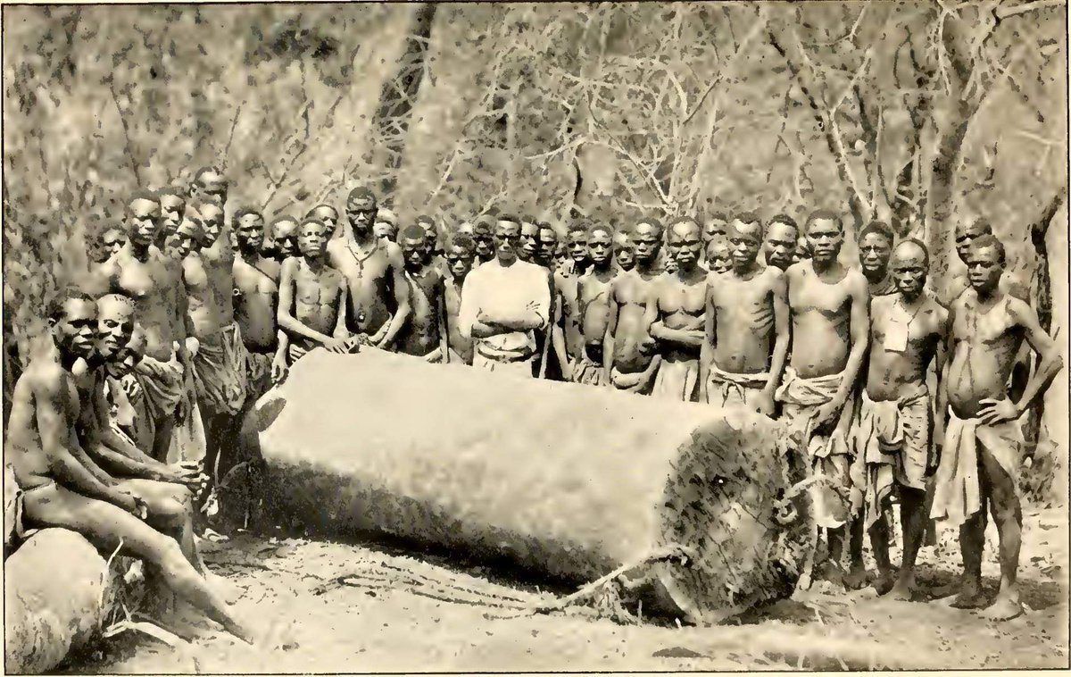 t1/ THE BEMBA PEOPLEThe Bemba came to Zambia during the great Bantu migrations of the 16th & 17th centuries.  1910- Bemba tribesmen after harvesting mahogany hardwood .