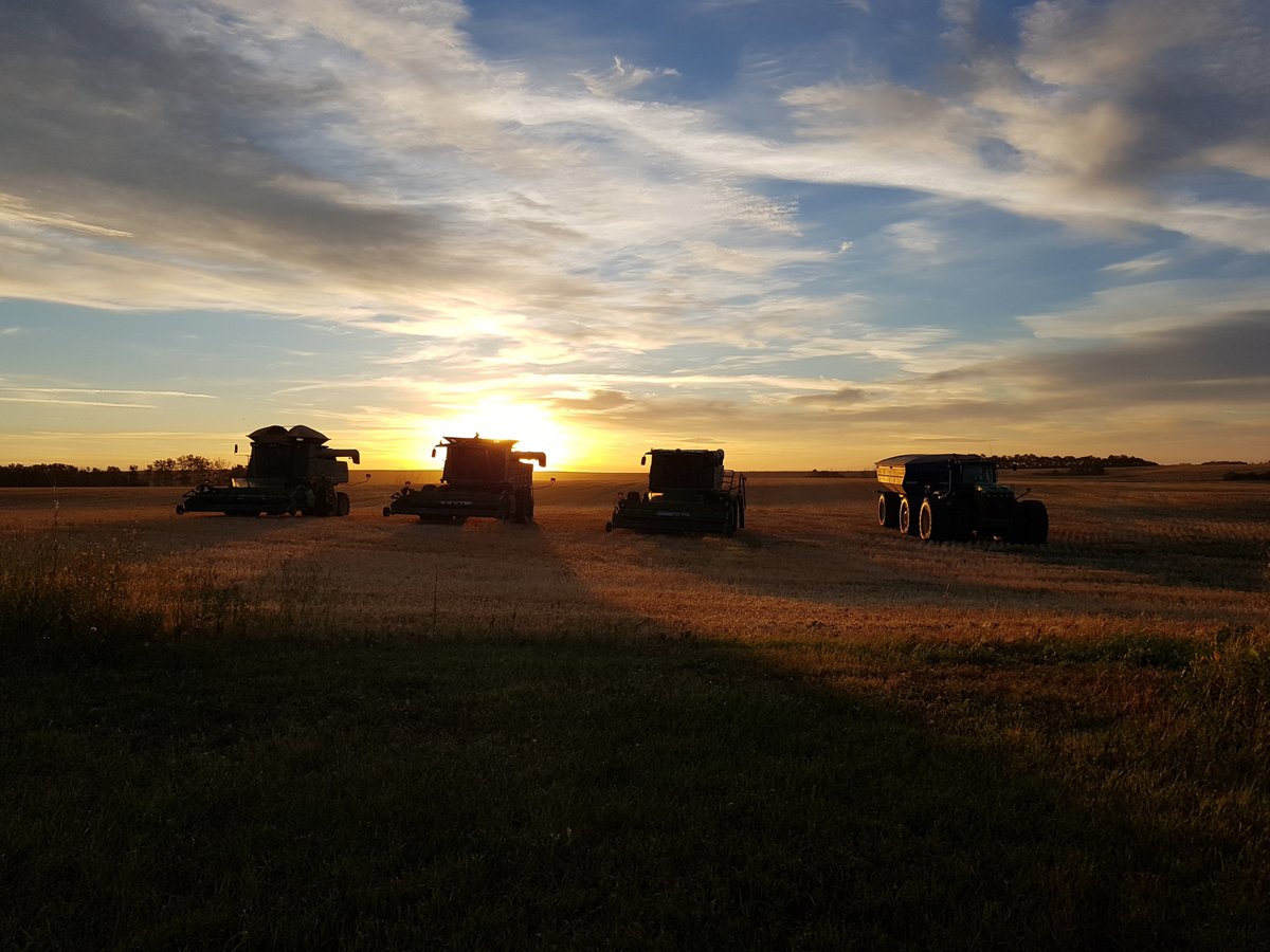 ctvsaskatoon's tweet photo. Sheila Mitchell sends us today's picture of the day, of a sunrise by Blucher. https://t.co/uK1gdhmNl6