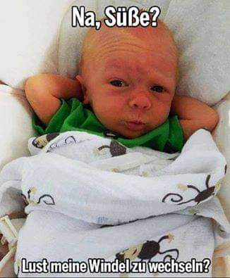 F1Steiner's tweet photo. Wieso musste ich an euch denken? 😅
@kessemak2 @JovleKaline 
#baby #pietsmiet #pietsmietbaby https://t.co/SO0SQEcS7X