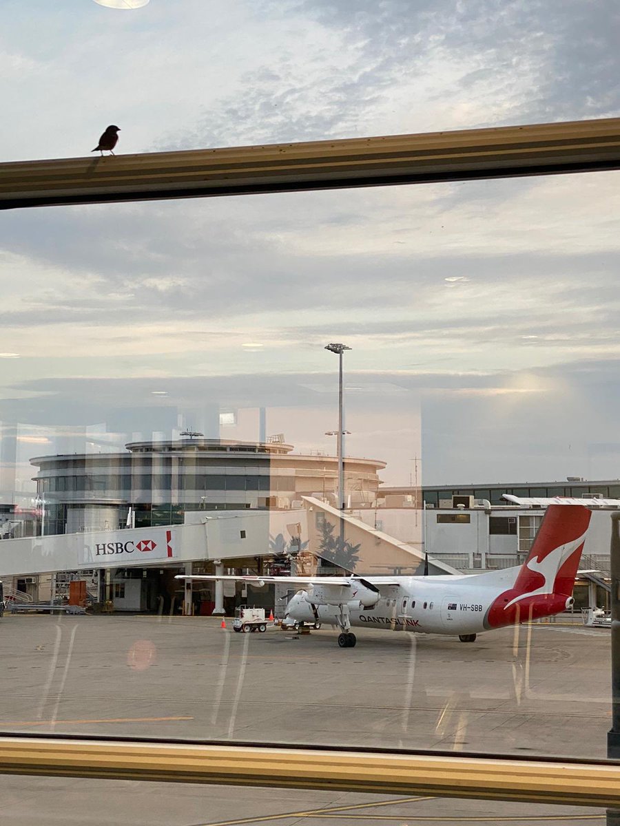 Mutts Butts tweet media