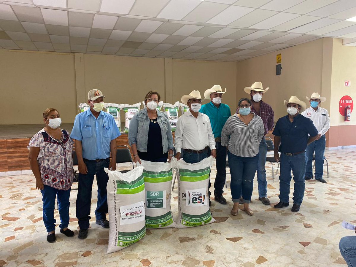 SEDERCOAH's tweet photo. Con el constante apoyo del Gobernador @mrikelme al sector agrícola, en representación del Secretario @flores_mendez, Subsecretario de Operación Regional @JAlejandroDeLun  entrega semilla de #avena forrajera en los municipios de #Múzquiz, #Zaragoza y #Sabinas #FuerteCoahuilaEs https://t.co/CyDnScOVNr
