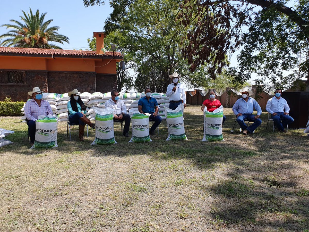 SEDERCOAH's tweet photo. Con el constante apoyo del Gobernador @mrikelme al sector agrícola, en representación del Secretario @flores_mendez, Subsecretario de Operación Regional @JAlejandroDeLun  entrega semilla de #avena forrajera en los municipios de #Múzquiz, #Zaragoza y #Sabinas #FuerteCoahuilaEs https://t.co/CyDnScOVNr