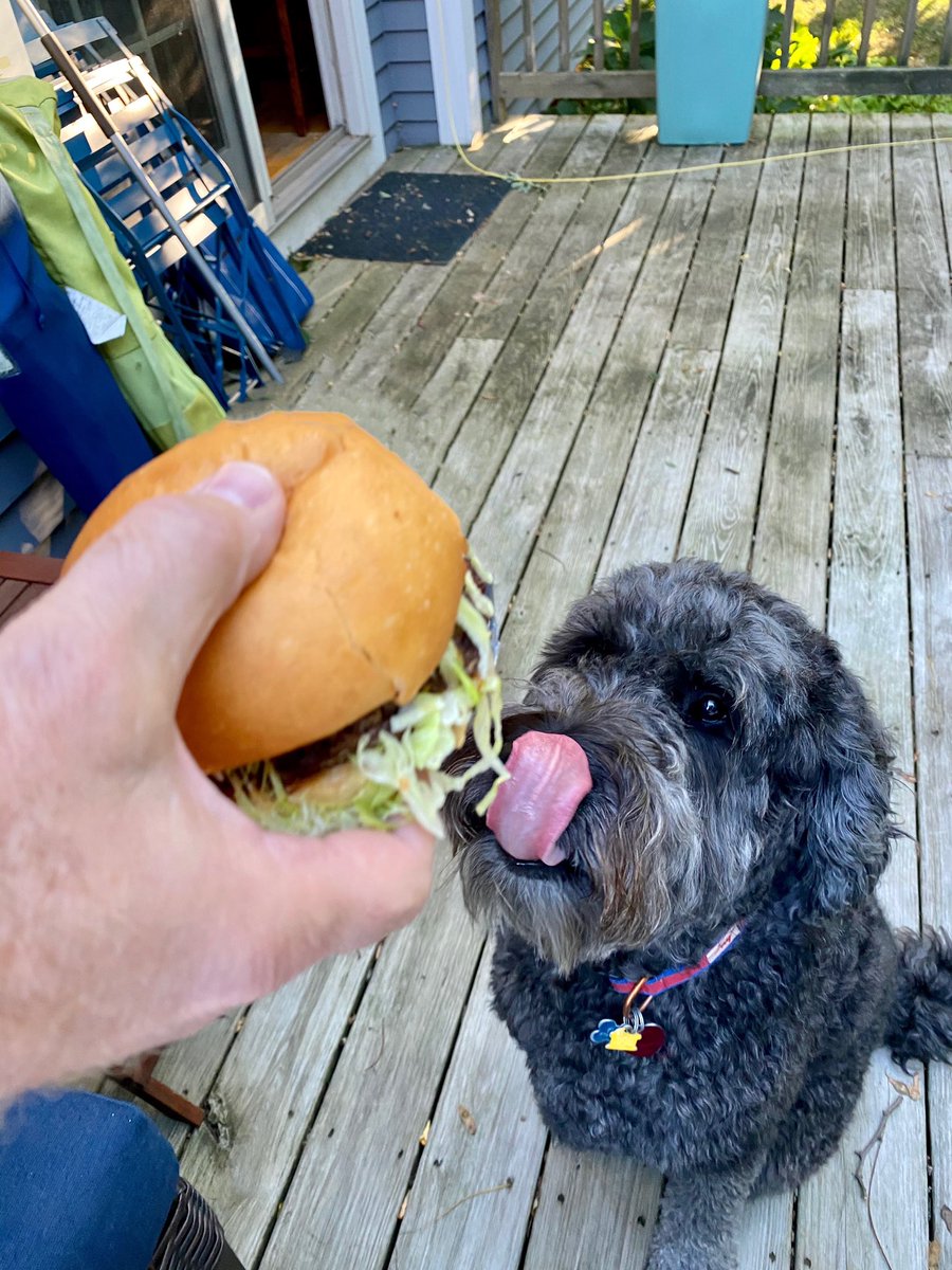 MyFudds's tweet photo. Best part of taking Fudds home is that your furry friends can also enjoy your burger!! (even if you wanna keep it all to yourself). 😋 https://t.co/0gb4lgICBR