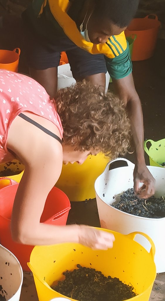 𝕃𝕒𝕦𝕣𝕒 𝕃𝕠𝕣𝕖𝕟𝕫𝕠 tweet media