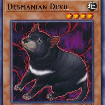 Some of my favorite YuGiOh cards are just average looking animals with  menacing auras.