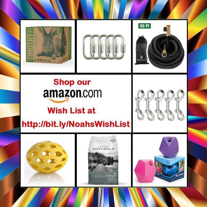 NoahsArkClub's tweet photo. Please check out our Wishlist on Amazon to purchase much needed items by visiting https://t.co/Oy0AEsBxnr  Remember, every little bit really does help ensure our animals live the best lives possible! Thank you!! https://t.co/ki7PSVgmd4 #NoahsArkAnimalSanctuary #BLT #ShareTheDream https://t.co/ddetHft5LH