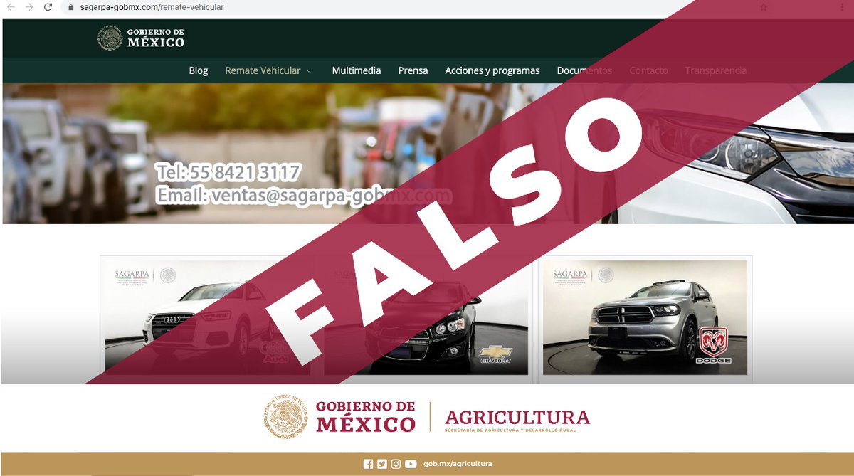 Agricultura_mex's tweet photo. ¡No creas todo lo que ves en Internet!

Consulta nuestro sitio web https://t.co/Jbu6ngXXeA y nuestras redes oficiales. 
Si necesitas más información, puedes llamar a nuestra línea de apoyo 800 TU CAMPO (8822676).

Evita ser víctima de estas prácticas deshonestas. https://t.co/Eln1cuYwAJ