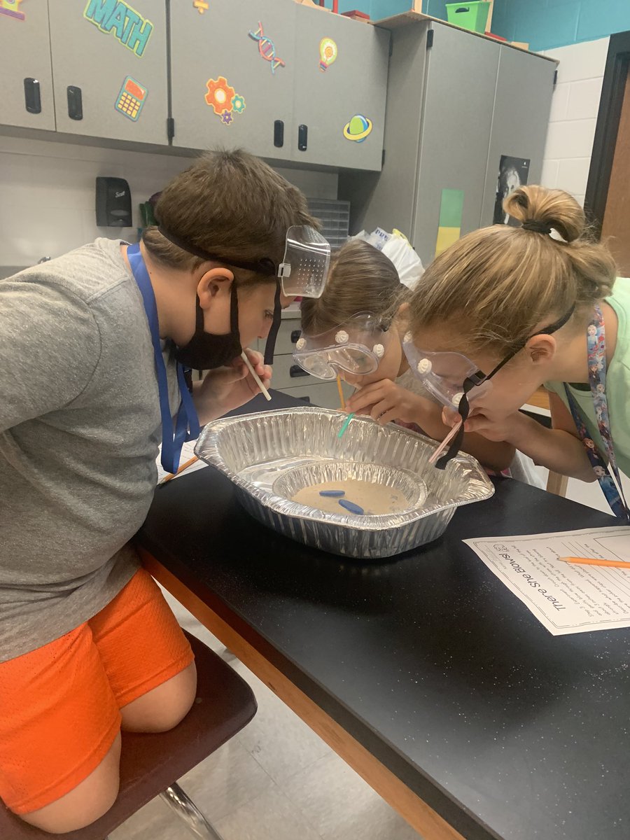 Lisa Williams tweet media