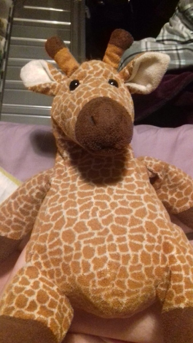Giraffe, my other favourite, who got confiscated once in year 2. And I haven't forgotten, Miss Hall. He was my brother's until I was about 2.