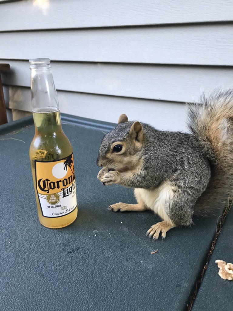 Today I feel it’s #fiveoclocksomewhere and #coronalight hits the spot.