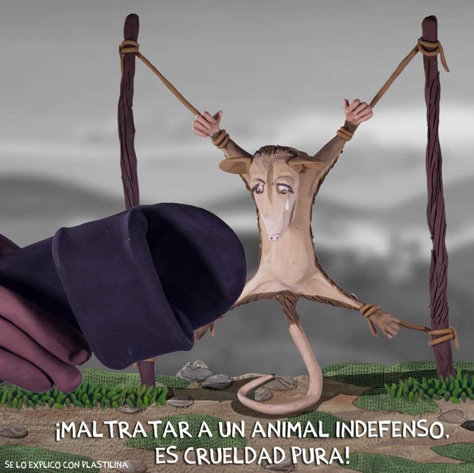 Derly Johana Flowers 💚🥑🐕 tweet media