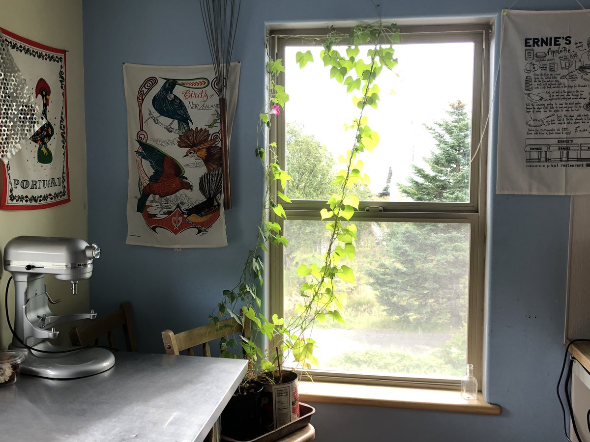 SisterTweets's tweet photo. Quiet bakery corner with morning glories in tomato tins and tea towels from @kaigalway #breathe https://t.co/98alTEWrLa