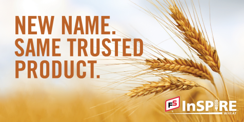 FSCooperatives's tweet photo. We're excited to introduce FS InSPIRE Wheat. This new name represents the relationship between our existing FS Seed brands, and allows FS Wheat to have its own identity in a fiercely competitive marketplace. Learn more: https://t.co/j0896pkc9H  #FSInSPIRE #wheat https://t.co/gtGRsGB0Ad