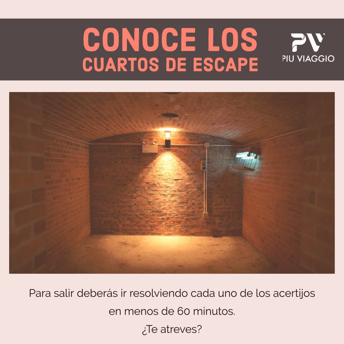 PiuViaggio's tweet photo. Te dejamos algunas opciones para que te conviertas en todo un Sherlock Holmes.

1⃣Escape 60
2⃣Enigma Rooms
3⃣Escape Rooms 

Te aseguramos que no te arrepentirás!!
.
.
.
#escaperoom #cuartosdeescape #diversión  #cdmx #adondeir #piuviaggio https://t.co/1hw9v77i0b