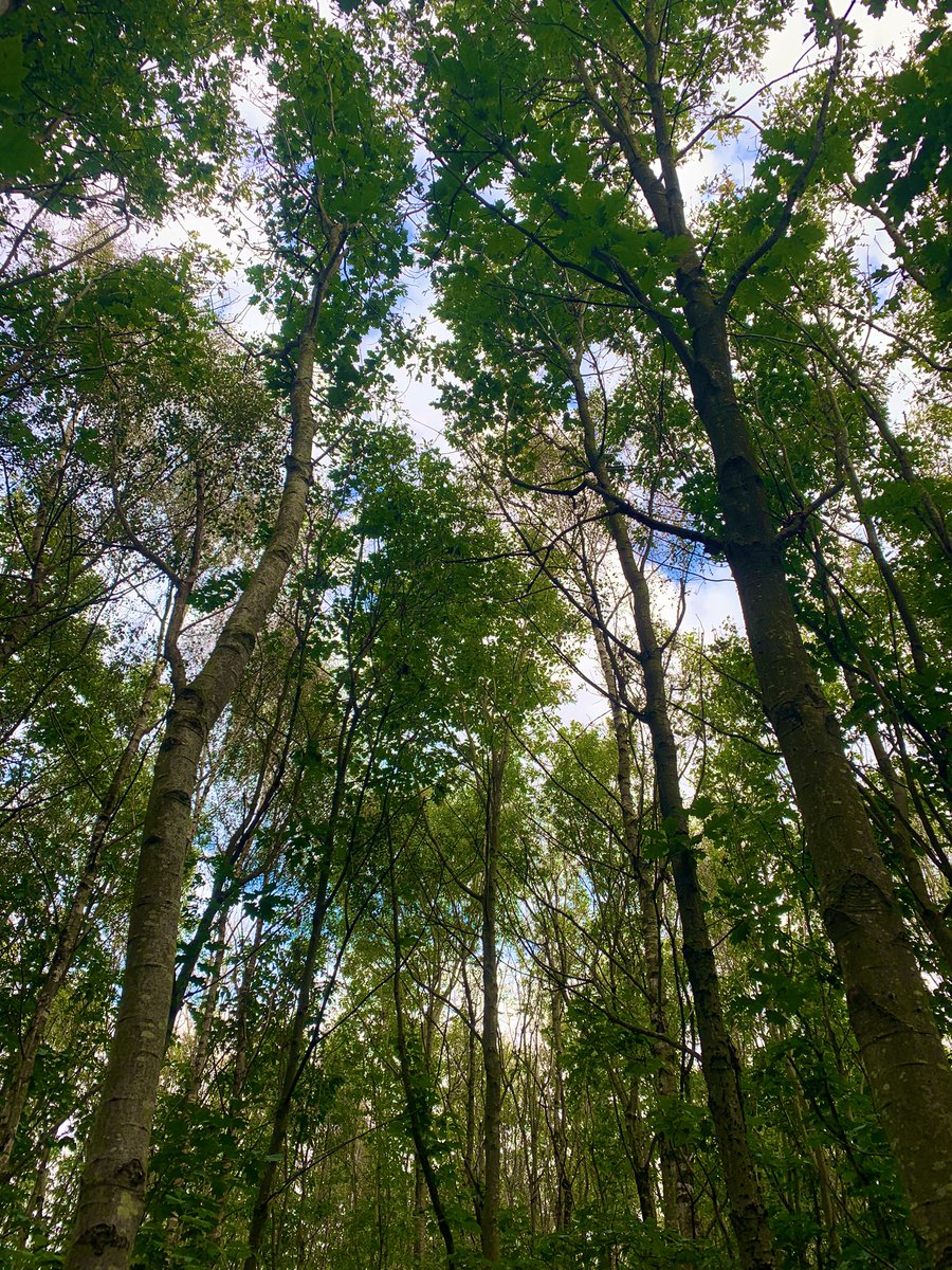 ellise ❤️‍🔥 tweet media