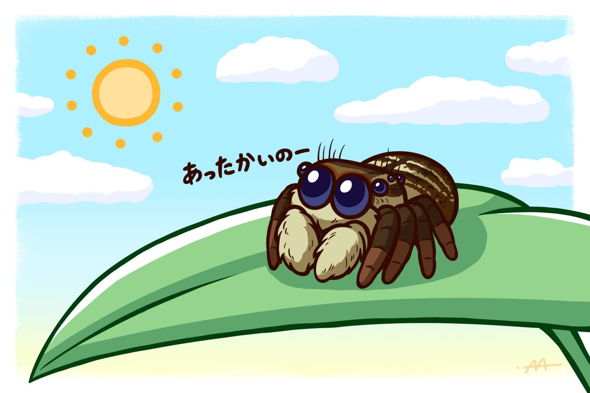 Twitter 上的 アマヒタキ ひなたぼっこ イラスト ハエトリグモ T Co J1kgs2lbod Twitter
