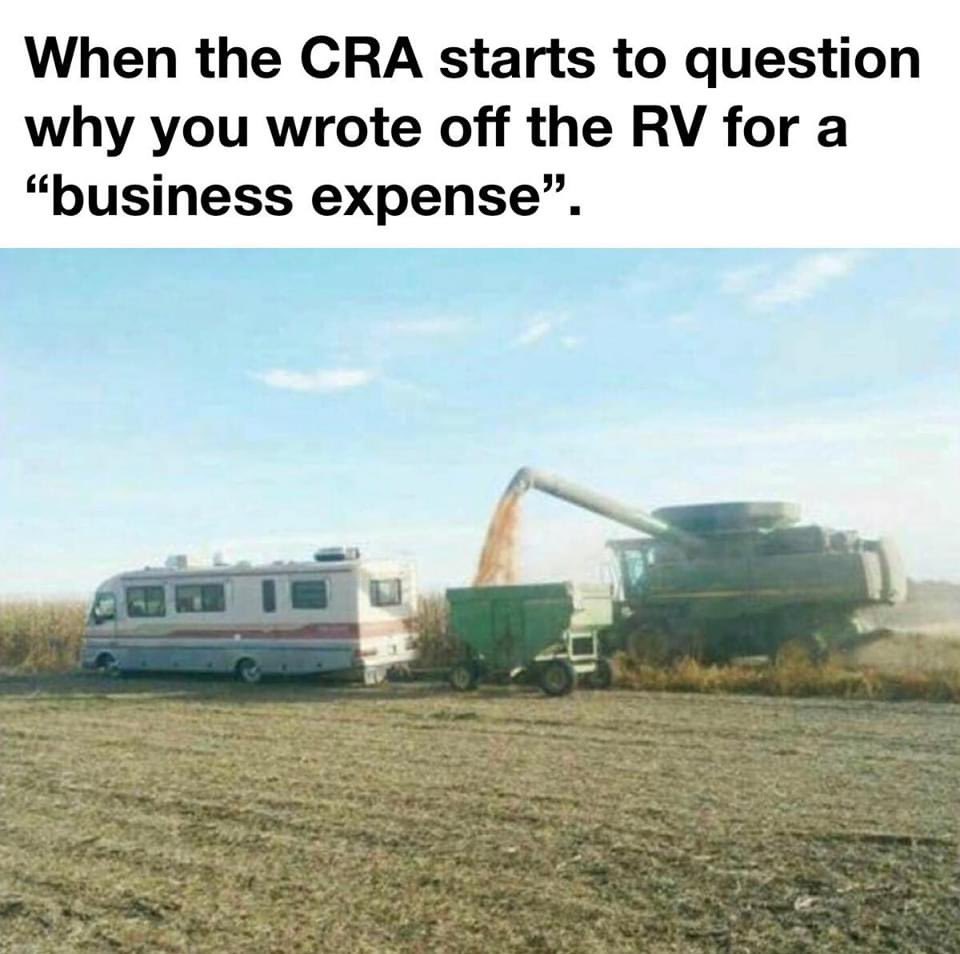 Travis Fisk (@ridgelinecattle) on Twitter photo 