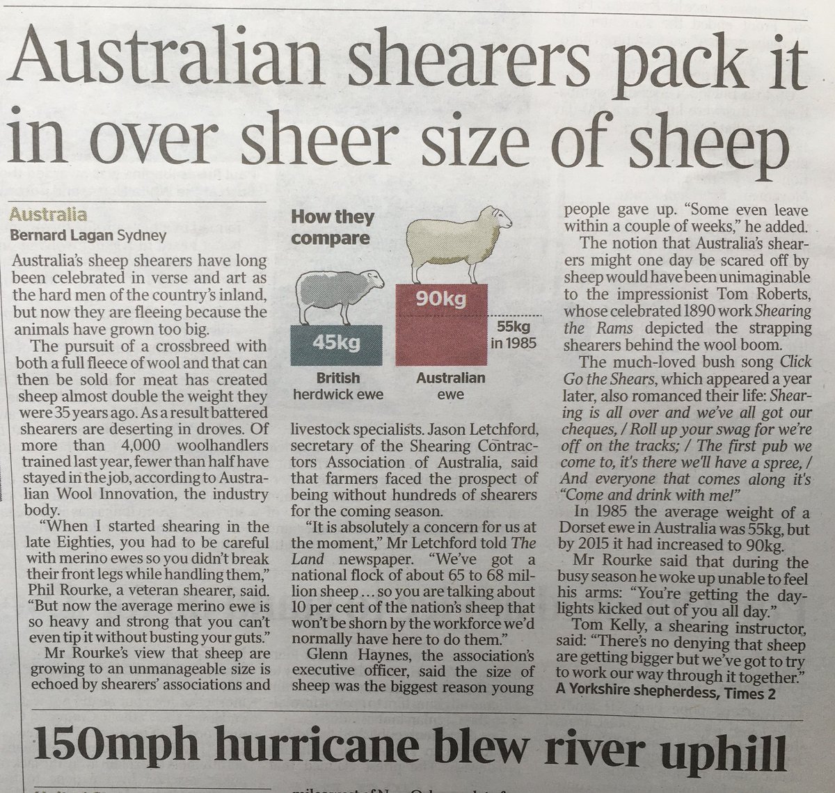 My mum sent me this, reading in the #Times in 🏴󠁧󠁢󠁳󠁣󠁴󠁿 ! #innovation is needed in #shearing or the #sheep 🐑 industry is going to struggle 🤔. We are working on something with <a href="/woolinnovation/">Australian Wool Innovation</a> but still at early stages. Could this help? burbidgefarms.com/wool-harvesting #shearing #wool
