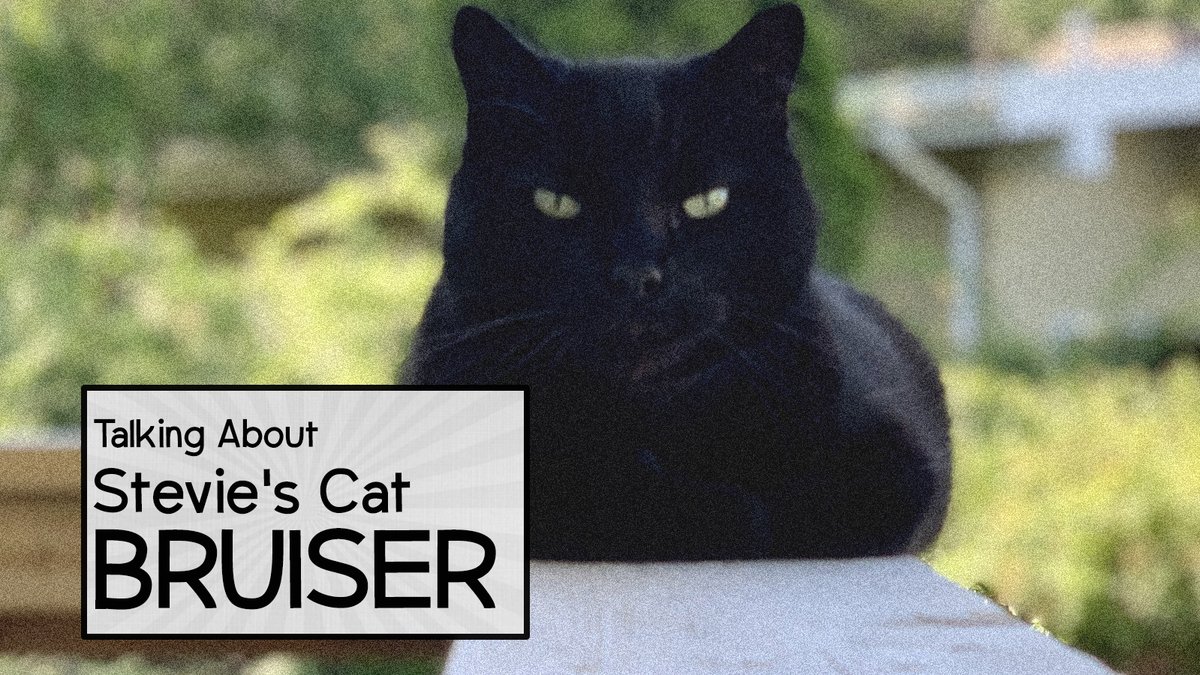 talkingcatspod's tweet photo. In the latest episode I talk to my neighbor Stevie about her cat black cat Bruiser. 

You can listen on @ApplePodcasts or wherever you get podcasts. https://t.co/7KP8Pa3kFX