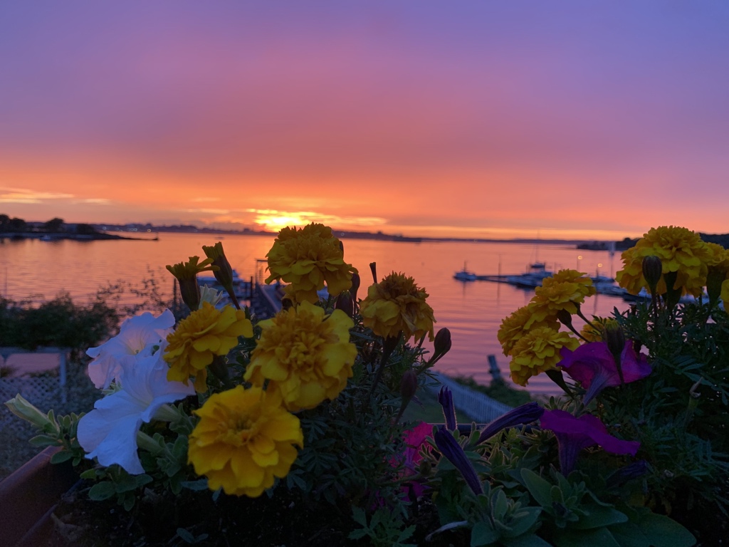 catvalente's tweet photo. Peaks Island #Maine bringing it tonight https://t.co/IJeA6ky2ge