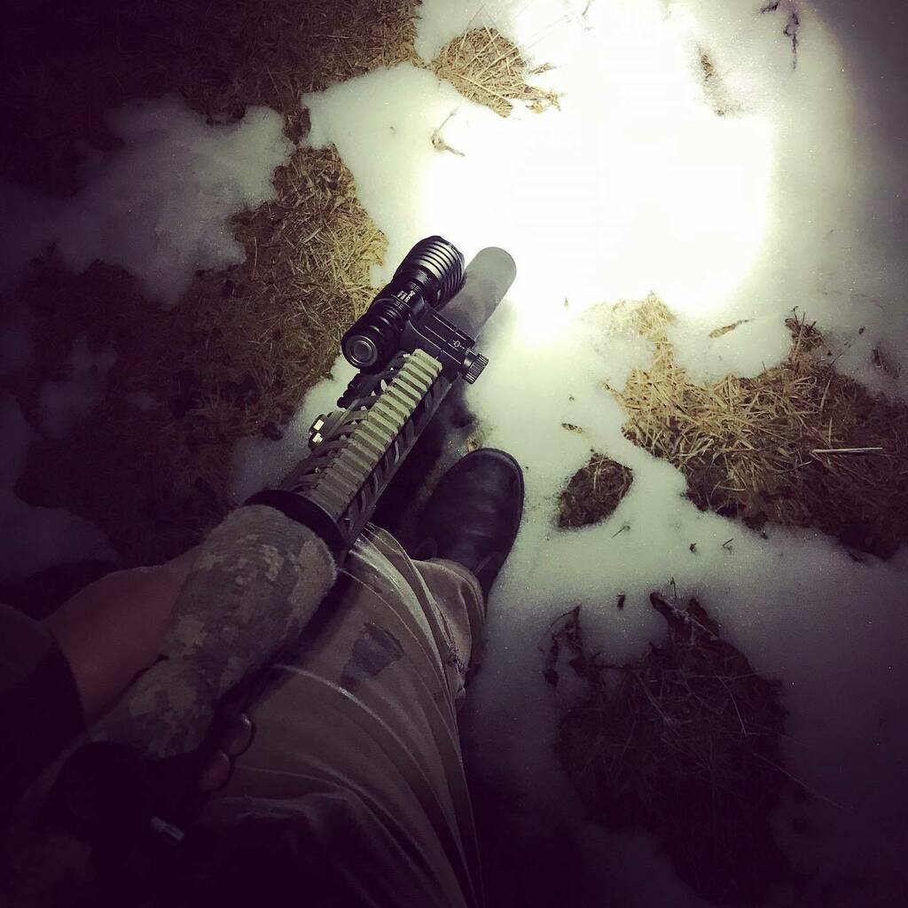 JSilkstone's tweet photo. They mostly come out at night...mostly.
.
.
.
.
.
.
.
#nightshooters #nightshooting #onthetools #pestcontrol #rabbitshooting #vermincontrol #trainingatnight #nightops https://t.co/54hkrgwilL