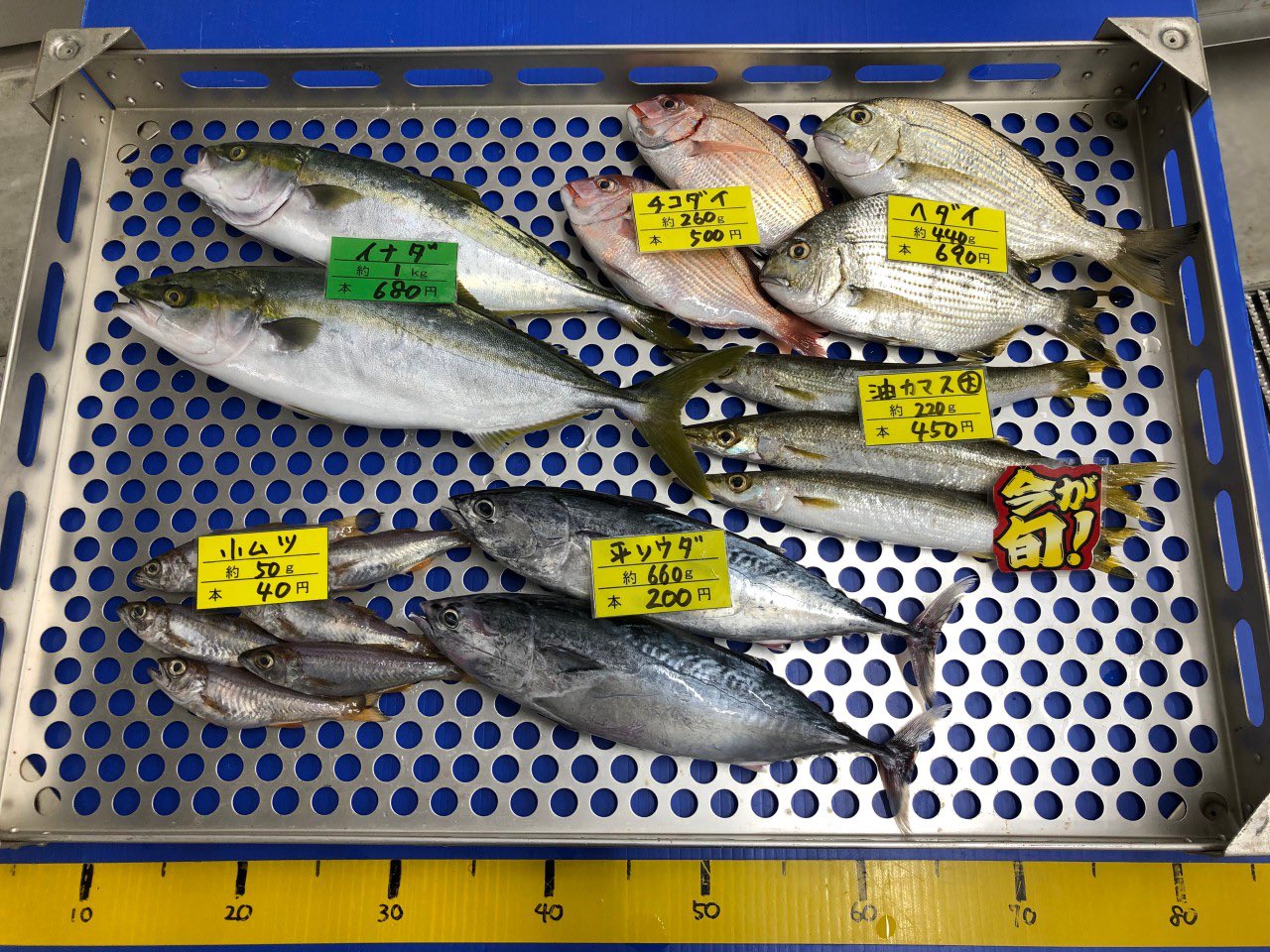 小ムツ Twitter Search Twitter