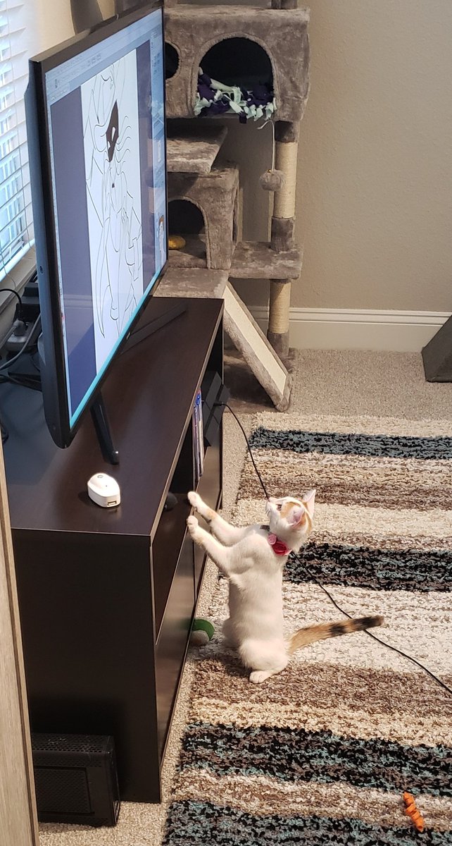 AstroYuki4's tweet photo. @DrawfeeShow My kitten loved the 30 min challenge even if no one else did https://t.co/eFXzKgWZ5o