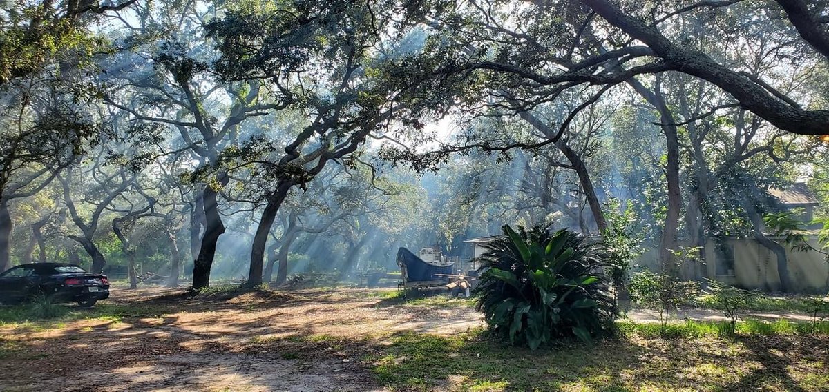 streetSinger9's tweet photo. My brother’s neighbors had a smoky fire in their fire pit, makes for interesting sunbeams…
#CellphonePicture https://t.co/ftNQTgrZCG