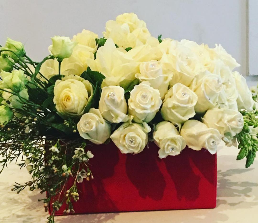 kayflowers_ng's tweet photo. We're fully open 😻🦋
Order your natural and artificial Rose's on budget. Please retweet
@ABUJAPLUG #AbujaTwitterCommunity #BBNaijia2020 #WeAreSorryNengi #EricaTheBrand #GiveLayconFullVotes https://t.co/LiRFUDzWux