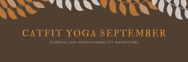 CatFitYoga's tweet photo. Fall leaves, pumpkin spice lattes and yoga instructor thoughts! - https://t.co/IfxzW2YJC4 https://t.co/adPoyFPmEW
