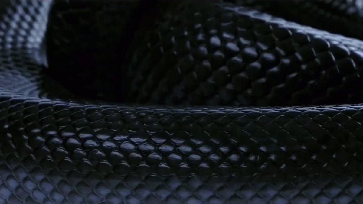 neomucolorful's tweet photo. snakes are a symbol of rebirth and transformation and healing, and black panthers represent strength and courage 

damn it, wonho https://t.co/GDgs5irRo7