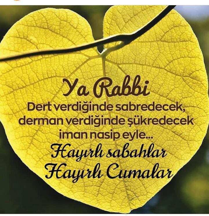 SmaUmut's tweet photo. https://t.co/RNXUUROpR6