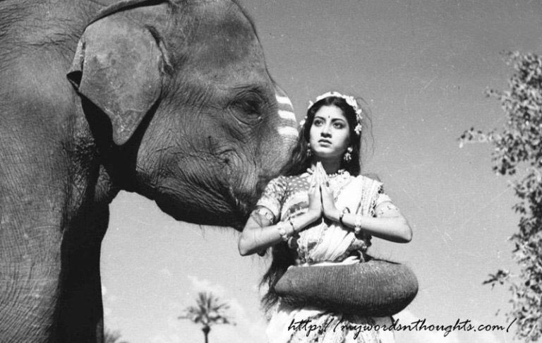 cinemaazi's tweet photo. Kumari Rukmini, a popular star of Tamil and Telugu films, started her career as a child actor in Harichandra (1935). Her first movie as a lead actress was Sri Valli (1945) which propelled her to stardom. Today is her death anniversary (4 September 2007). #KumariRukmini https://t.co/S86NAL8vPp
