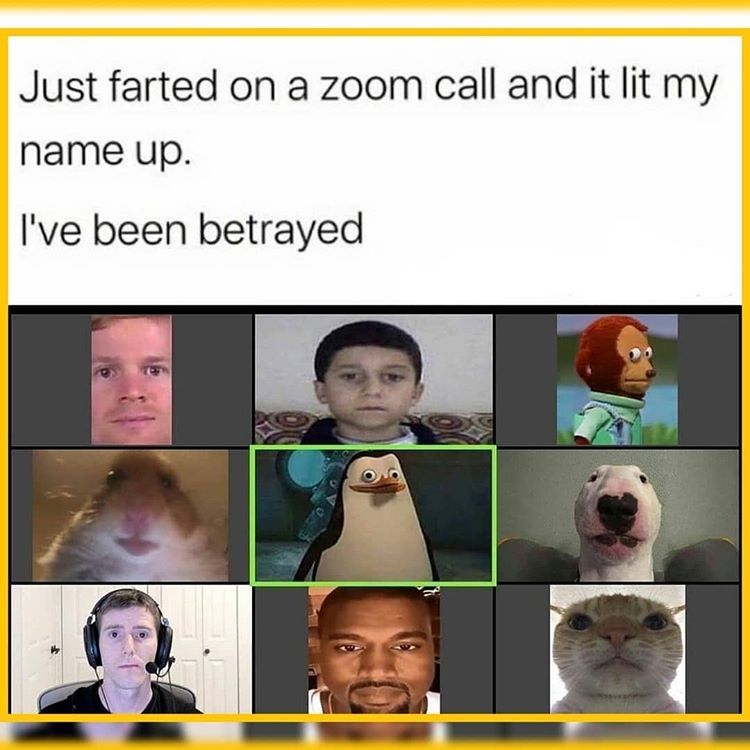 iphonegalaxymd's tweet photo. I've been betrayed😂 [ Modern Solution ]

#programmingmemes #meetings #programmerjokesofficial #onlineclasses #programmerhumor #programmingjokes #programminghumor #programmingisfun #zoommeeting  #datascience  #java #javascripts #backenddeveloper #frontenddeveloper #skypesession https://t.co/89lBspADE6
