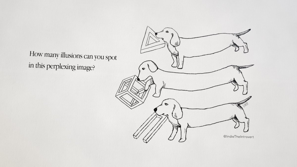 crazyiIIusions's tweet image. 