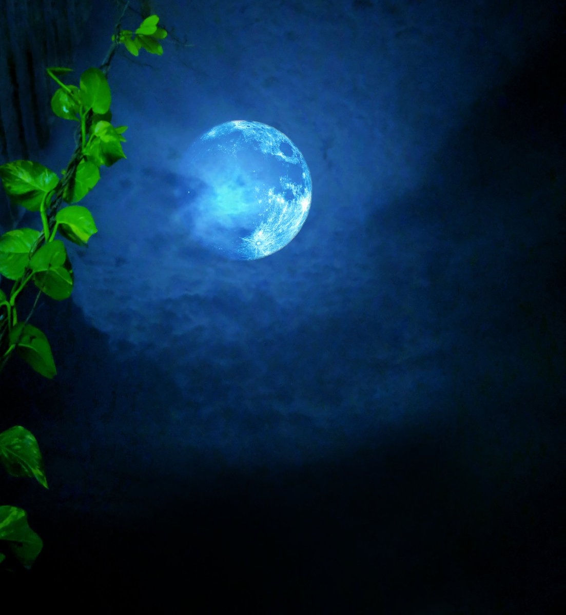 pixediting's tweet photo. Blue moon night
Click here #pixeditings for more
#nature #Wallpapers #NaturePhotography #bluemoon #moon https://t.co/bWAle6UOji