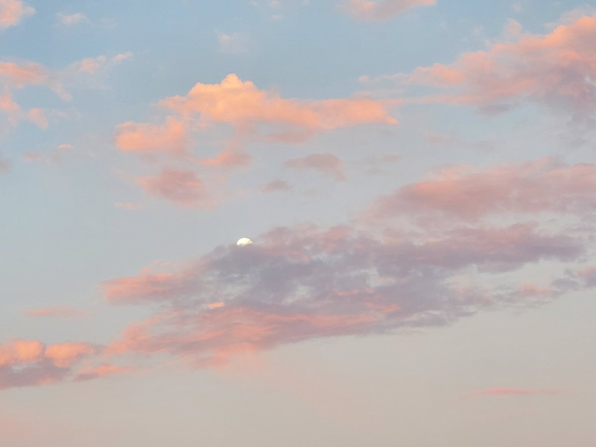 hasharanza's tweet image. 