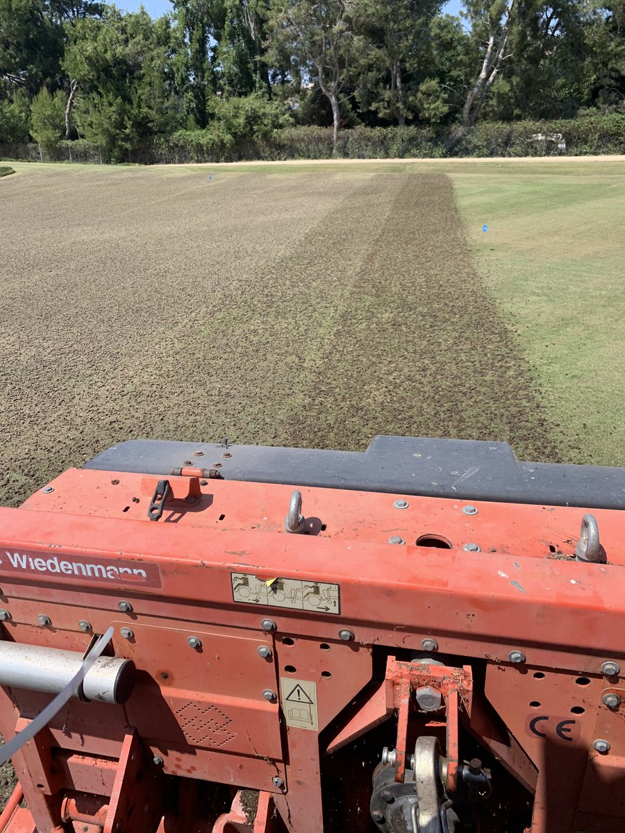 muddturf tweet media