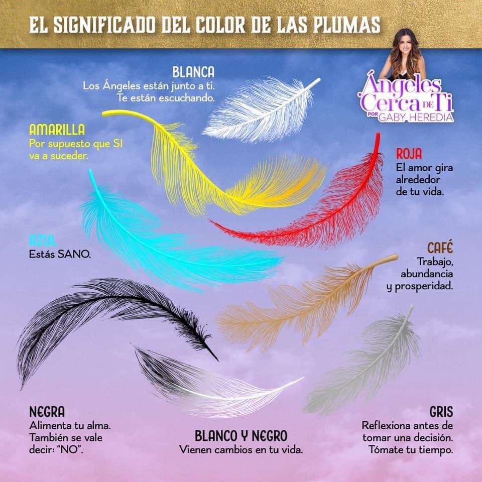 pluma significado