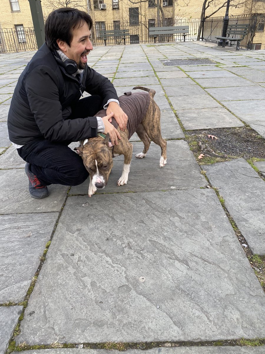 LMMthings_'s tweet image. Lin petting someone else's puppy