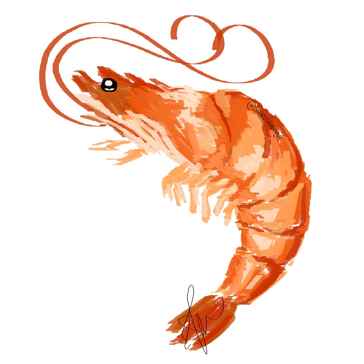 shirouusagii's tweet photo. I present you... shrimpy the shrimp
Some discord friends and I were talking about shrimp and so I wanted to see how fast I could draw some shrimp
(duration: 20-25min)
#shrimp #cookedshrimp #digitalart #digitaldrawing #illustration #art https://t.co/PLTqNHDzse